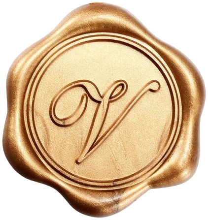 Selo V da Mentoria Visione